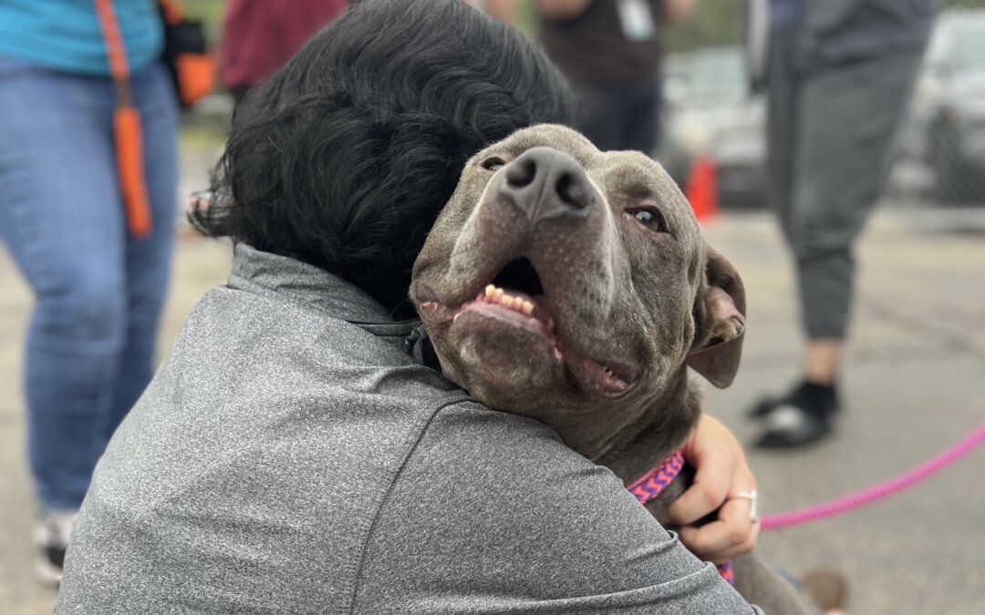 Better Together: St. Pittie’s Day