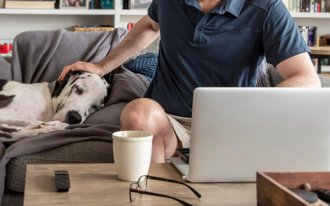 Michigan Humane Supports Access to Veterinary Care through Telehealth