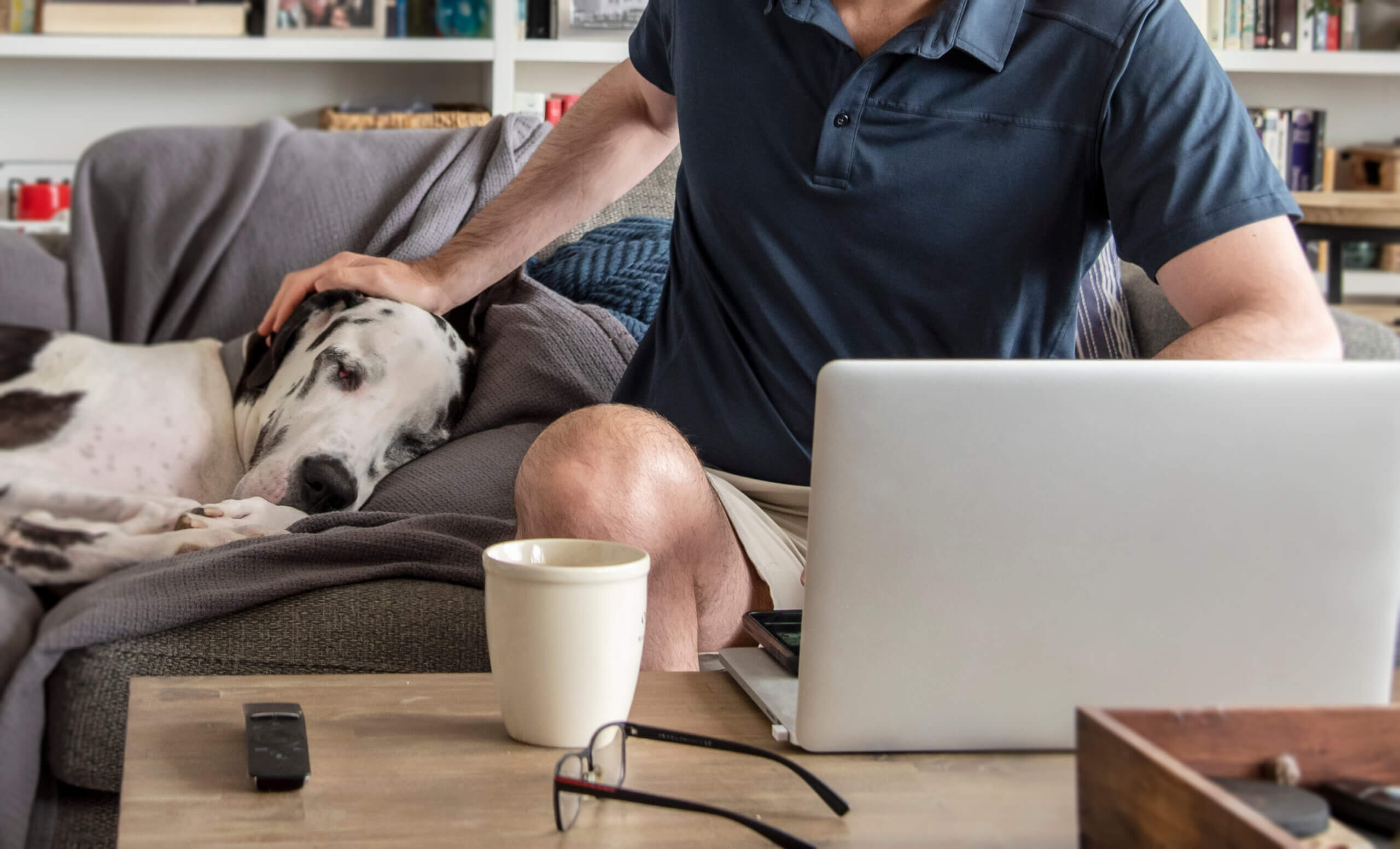 Man using computer laptop to consult with a animal veterinarian from home. Man using computer laptop to consult with a animal veterinarian from home