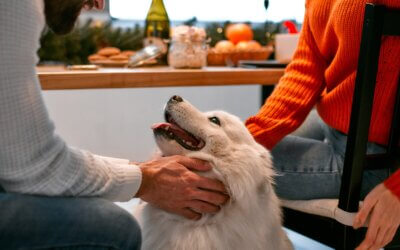 Tips for a Safe Thanksgiving with Pets
