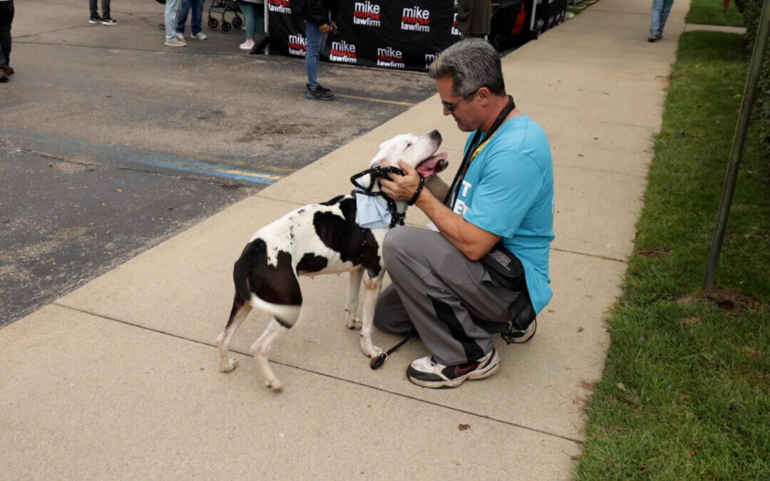 Building a More Humane Community for Everyone and Every Breed