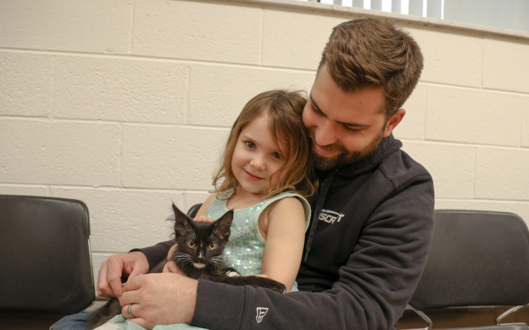 Reading With Kittens: A Pet-Friendly Community Event Making an Impact 