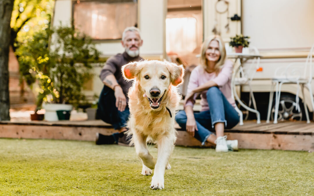 Spotlight on: Giving through your IRA