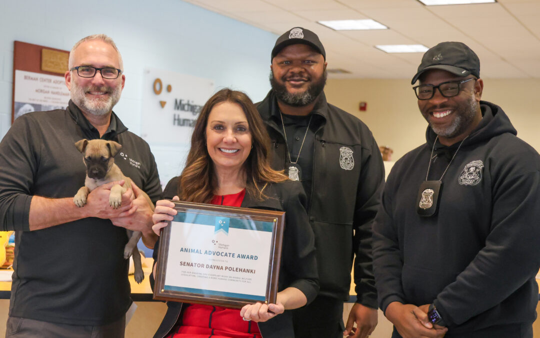 Bond-or-Forfeit Bills Reintroduced