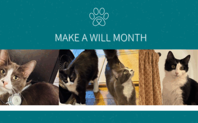 Marty Wollner’s Legacy