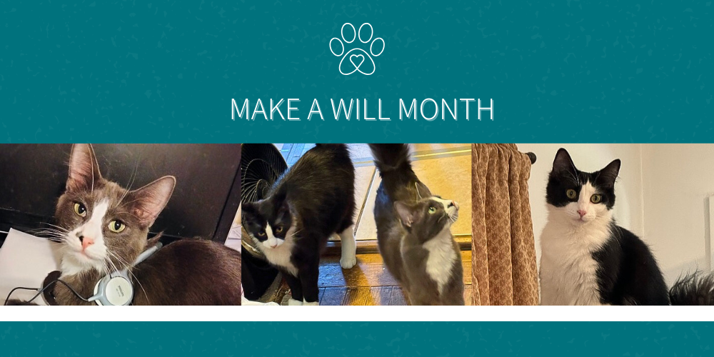 Marty Wollner’s Legacy