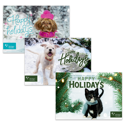 HolidayCardPacks_large