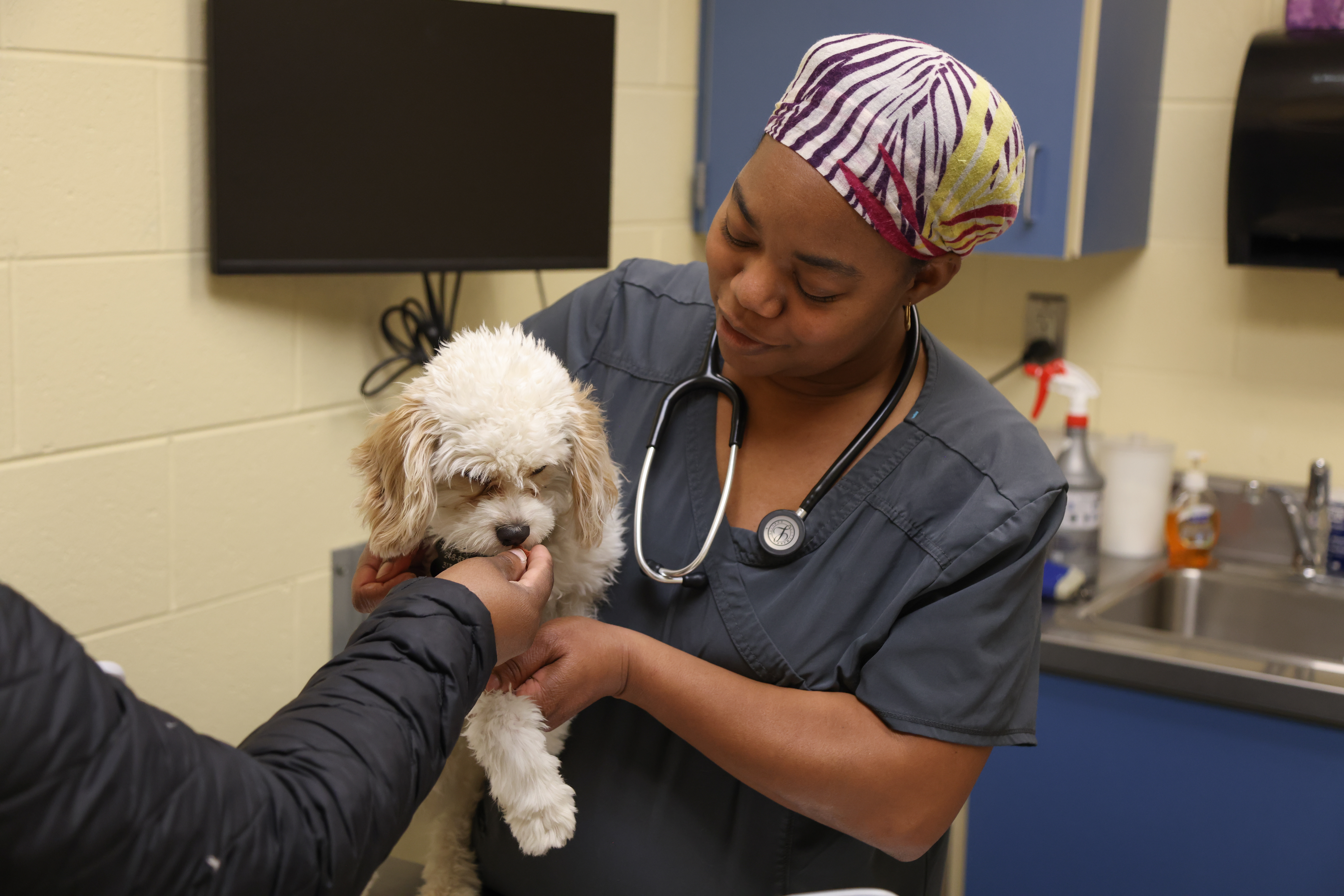 One Health west - Dr. Wright -8282