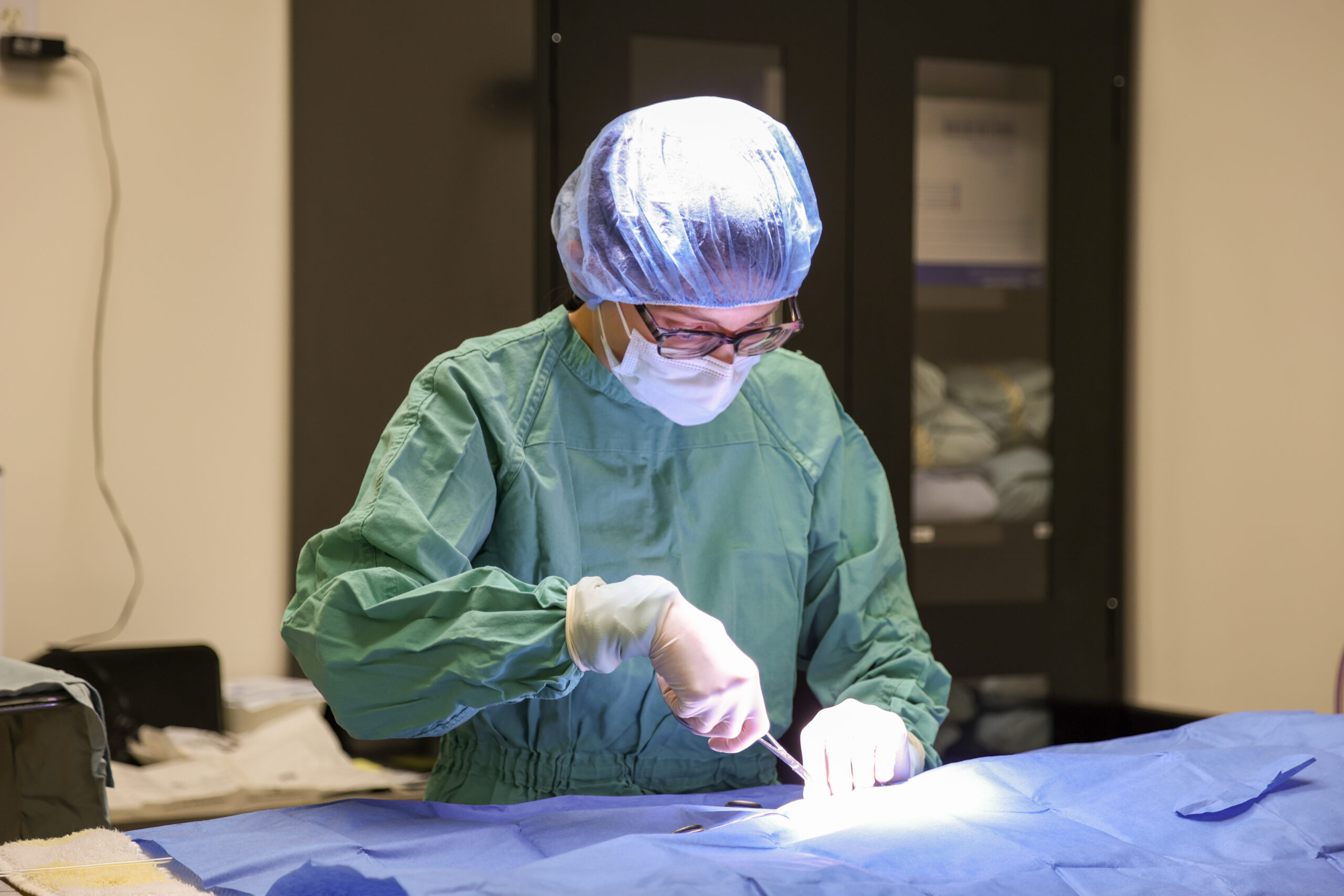 Rochester Hills Vet-0395