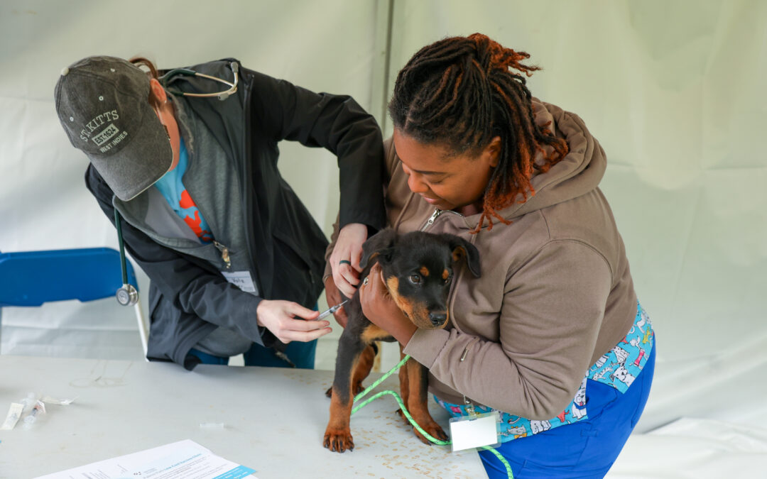 Clark Park One Health Pet Vaccine Clinic