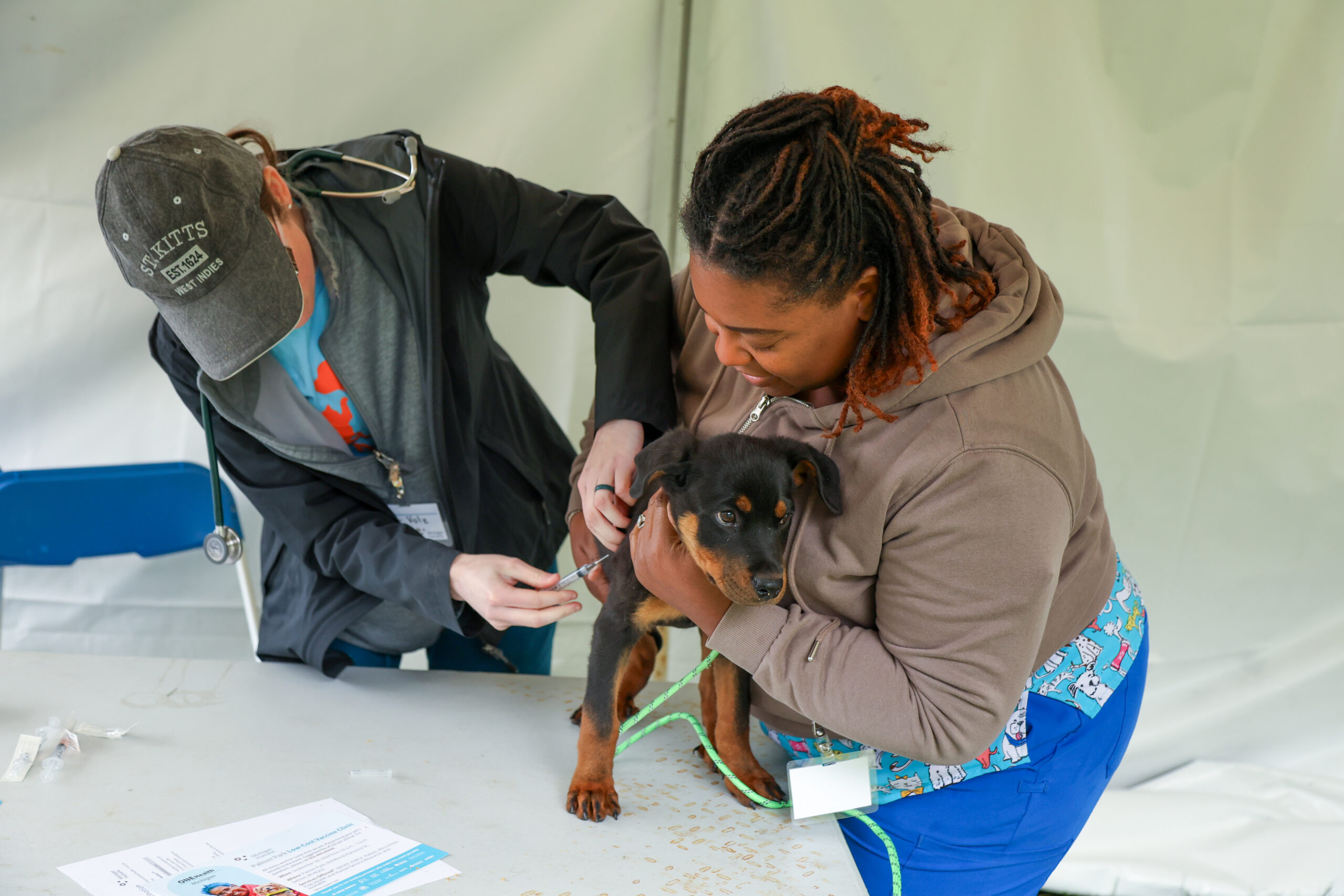 Vet providing vaccine for black and brown dog while owner holds