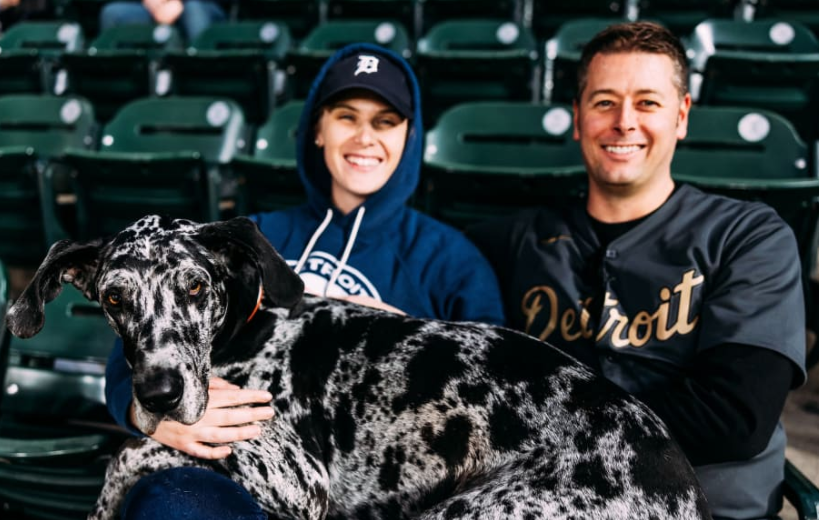 Two Detroit Tiger fans with a Harlequin great dane at Detroit Tiger Stadium attending Bark in the Park