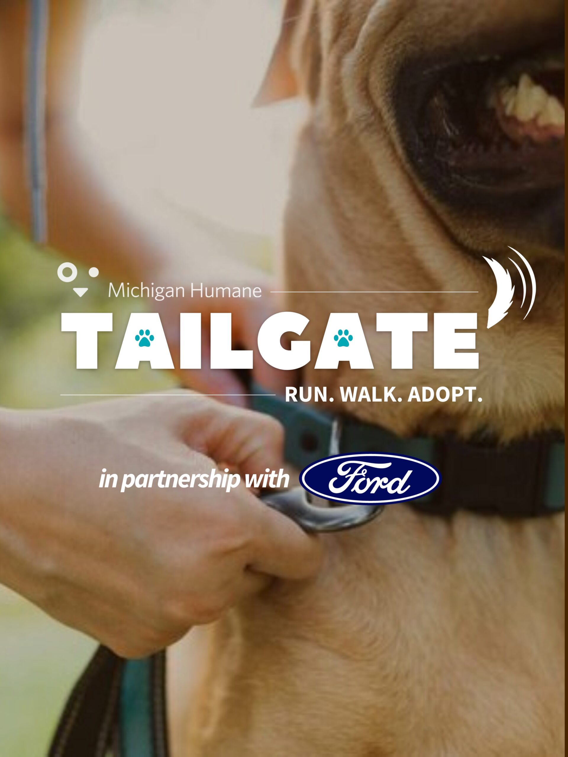 Tailgate 2026 image featuring a person's hand putting on a collar for a dog.