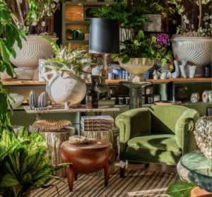 image of a very beautifully decorated plant space