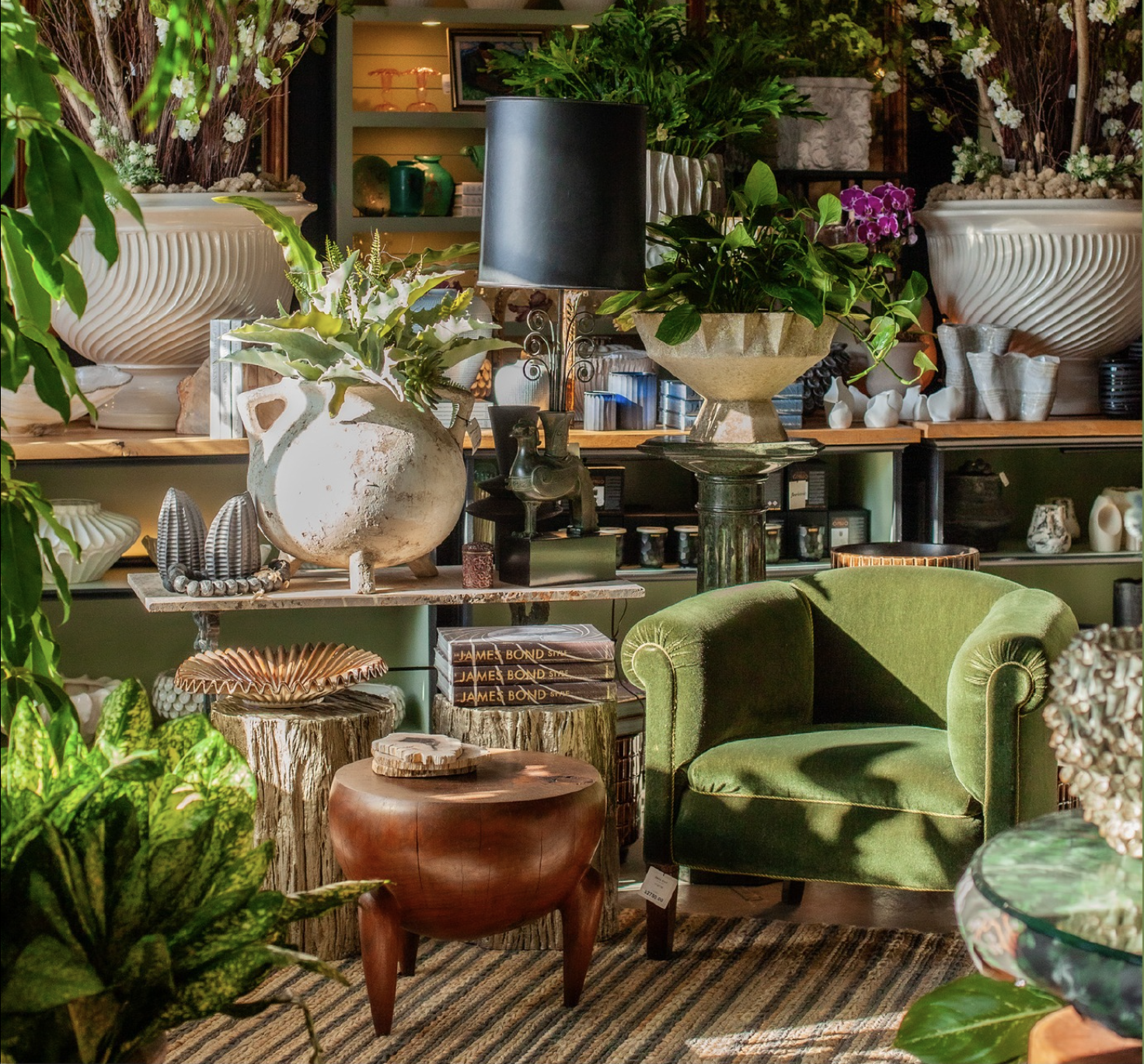 image of a very beautifully decorated plant space